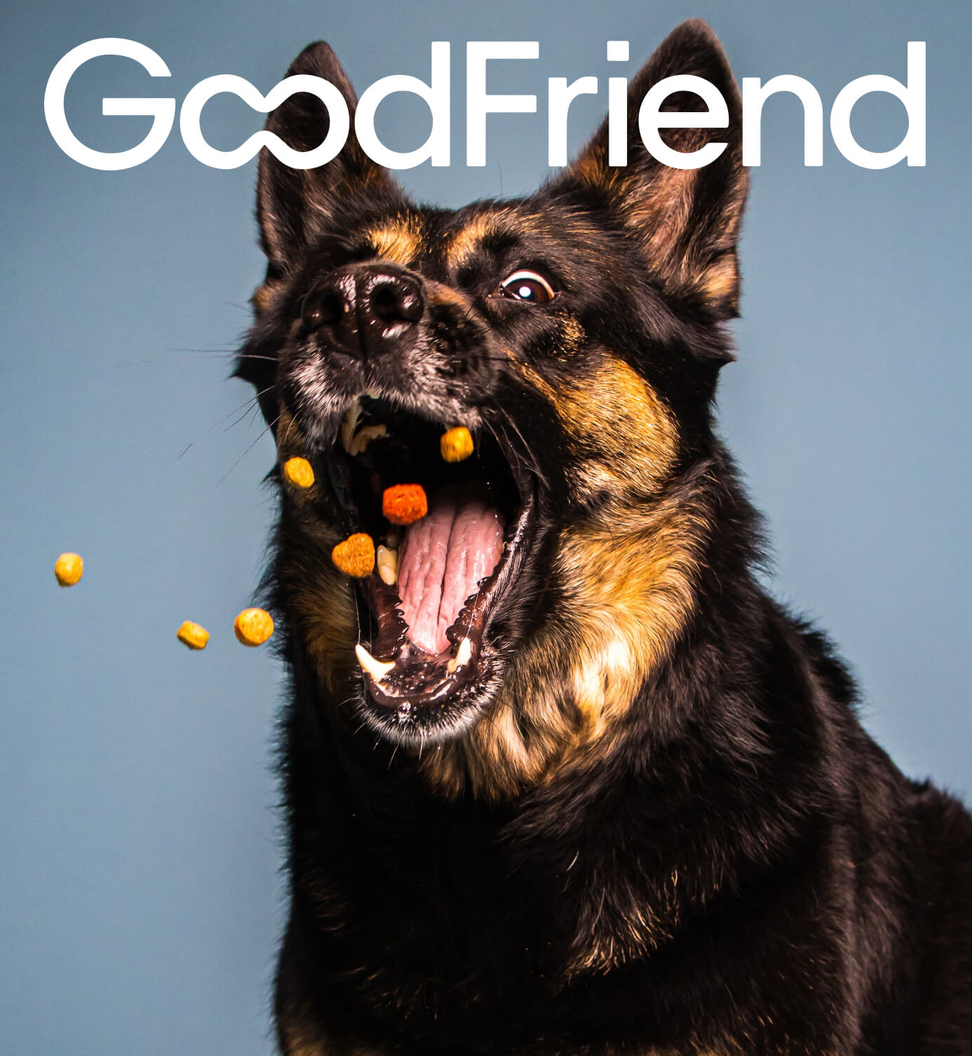 Cover of GoodFriend Case Study