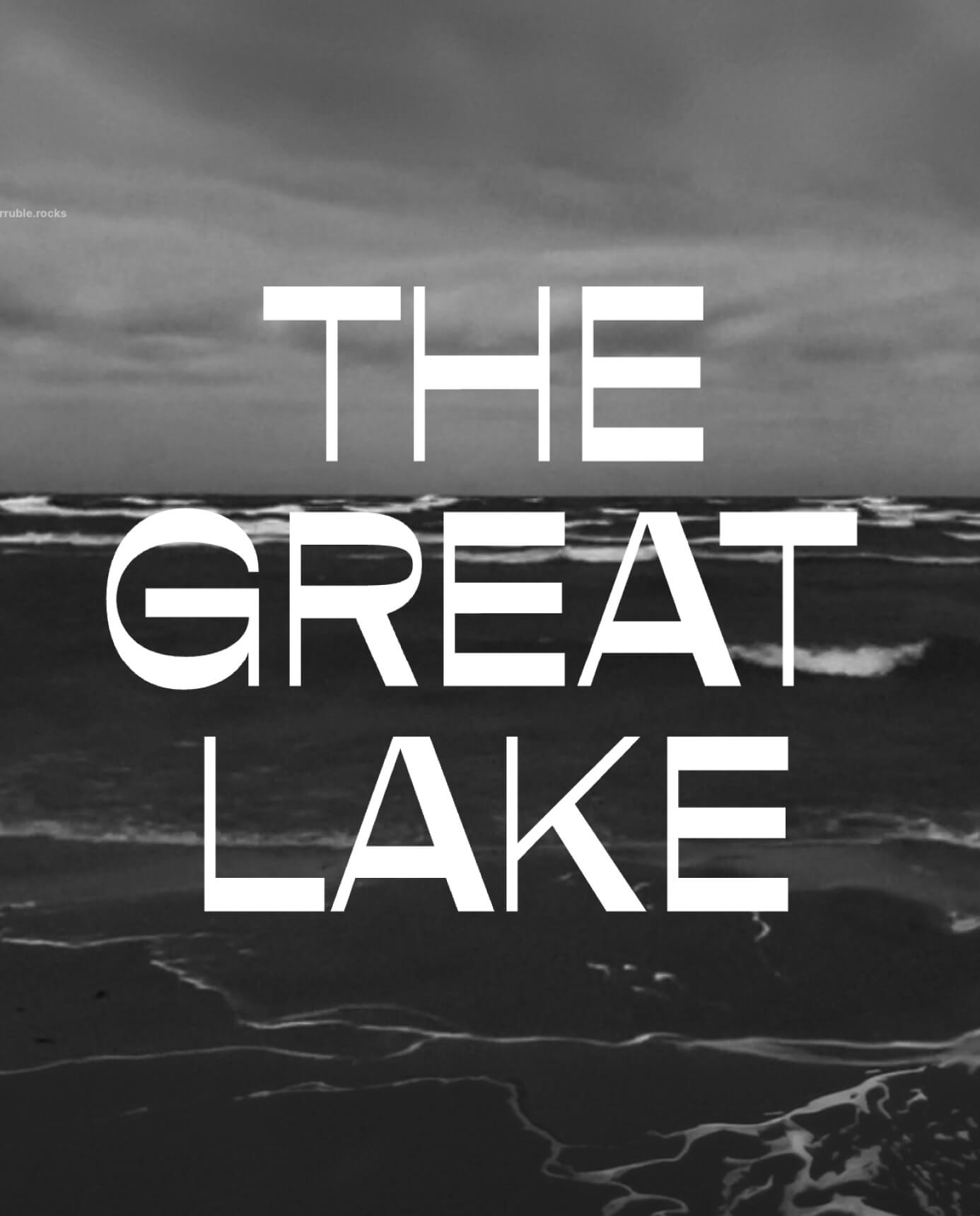 Cover of The Great Lake Michigan Case Study